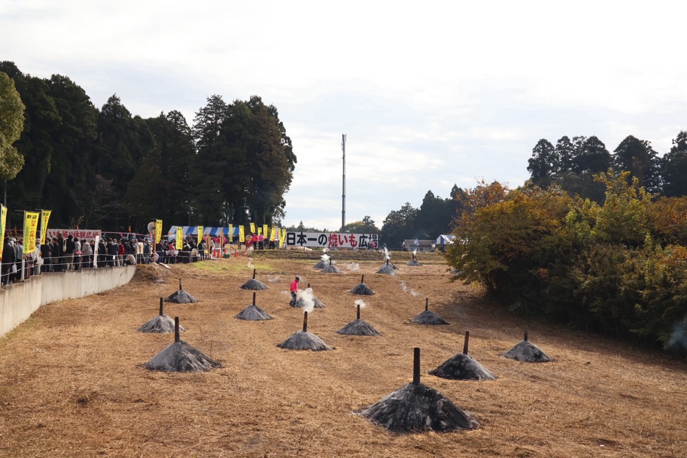 栗源のふるさといも祭